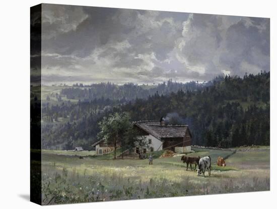 Stretched Canvas Print, , large