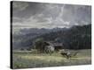 Stretched Canvas Print