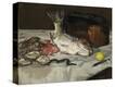 Stretched Canvas Print