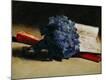 Premium Giclee Print