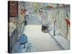 Stretched Canvas Print