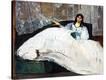 Stretched Canvas Print