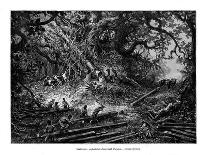 Rainforest in British Honduras, 19th Century-Edouard Riou-Giclee Print