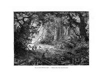 Rainforest in British Honduras, 19th Century-Edouard Riou-Giclee Print