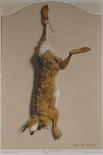 Souvenirs of the Hunt:The Hare; Souvenirs De Chasses: Le Lievre-Edouard Travies-Giclee Print