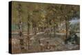 Stretched Canvas Print