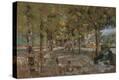Stretched Canvas Print