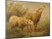 Giclee Print