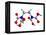 EDTA Chelating Agent Molecule-Dr. Mark J.-Framed Premier Image Canvas