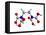 EDTA Chelating Agent Molecule-Dr. Mark J.-Framed Premier Image Canvas