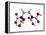 EDTA Chelating Agent Molecule-Dr. Mark J.-Framed Premier Image Canvas