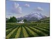 Giclee Print
