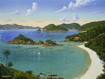 Trunk Bay - Virgin Islands-Eduardo Camoes-Giclee Print