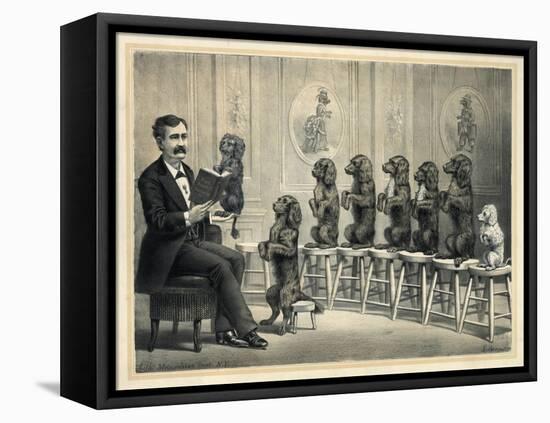 Educated Dogs-null-Framed Premier Image Canvas