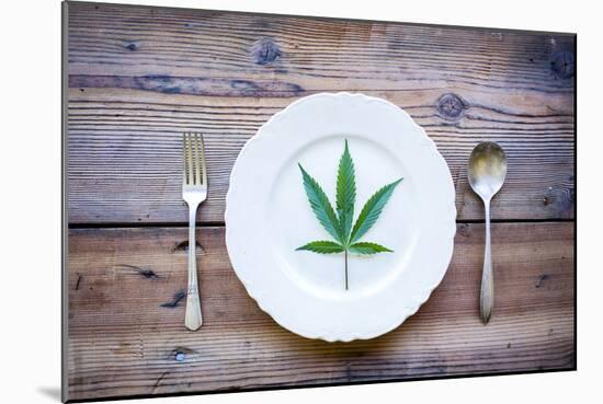 Educational Farm Stay Cannabis Pairing Dinner Party At North Fork 53 Near Nehalem, Oregon-Justin Bailie-Mounted Photographic Print
