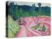 Stretched Canvas Print