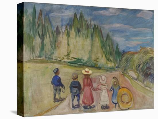 Stretched Canvas Print, , large