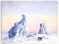 Emperor Penguin, Chick in Down, from Cape Crozier (Taken Alive), the Largest, Oct 1902-Edward Adrian Wilson-Framed Giclee Print