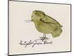 Premium Giclee Print