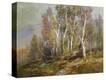 Stretched Canvas Print