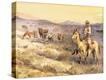 Stretched Canvas Print