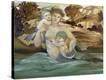Stretched Canvas Print
