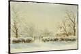 Stretched Canvas Print