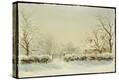 Stretched Canvas Print
