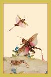 Common Wasps-Edward Detmold-Art Print