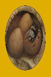 Common Wasps-Edward Detmold-Art Print