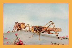 Italian Locusts-Edward Detmold-Art Print