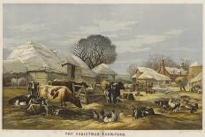 The Christmas Farm-Yard-Edward Duncan-Giclee Print