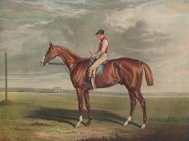 'Velocipede, Winner of the St. Leger, 1828', c1828, (1929)-Edward Duncan-Giclee Print