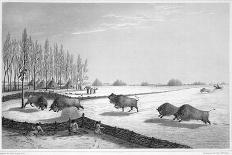 Illustration of Inuits Building an Igloo-Edward Finden-Giclee Print