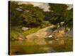 Stretched Canvas Print