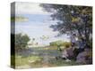 Stretched Canvas Print