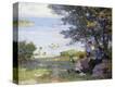 Stretched Canvas Print