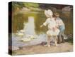 Stretched Canvas Print
