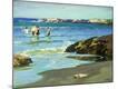 Premium Giclee Print