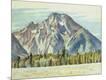 Giclee Print