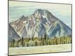 Giclee Print