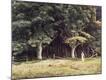 Giclee Print