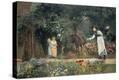 Stretched Canvas Print