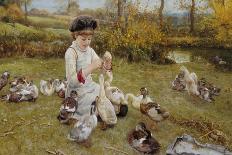 Feeding the Ducks-Edward Killingworth Johnson-Giclee Print