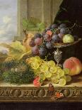 Fruit on a Draped Ledge with a Red Admiral-Edward Ladell-Giclee Print