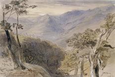 Cedars of Lebanon-Edward Lear-Giclee Print