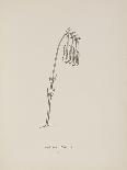 Guittara Pensilis. Illustration From Nonsense Botany by Edward Lear, Published in 1889.-Edward Lear-Giclee Print