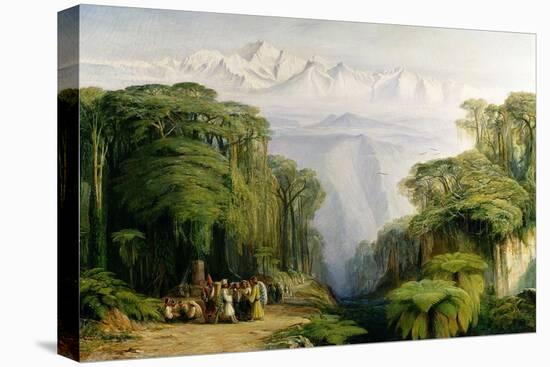 Stretched Canvas Print, , large