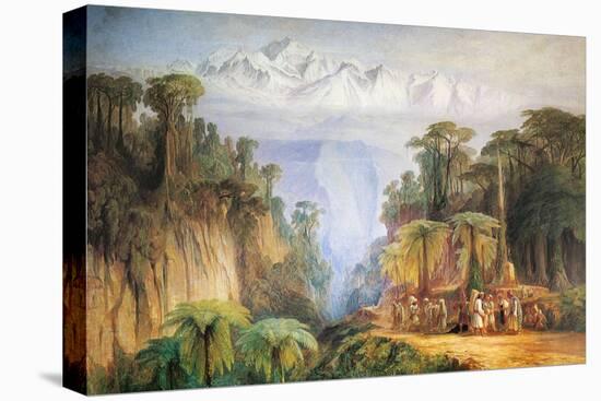 Stretched Canvas Print, , large