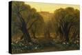 Stretched Canvas Print